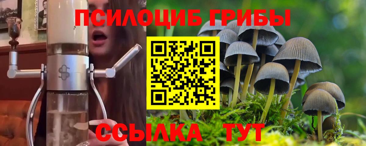 Псилоцибиновые грибы Psilocybe Наро-Фоминск
