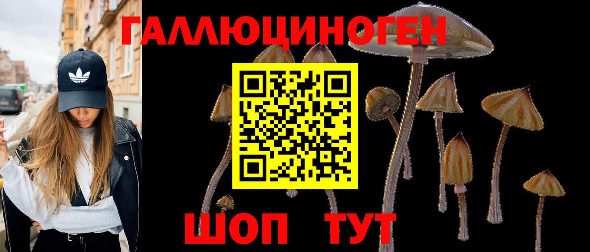 Псилоцибиновые грибы GOLDEN TEACHER  Вход с VPN  Наро-Фоминск 